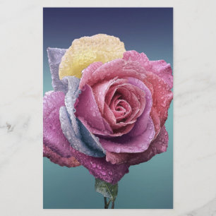 Papelaria Rosa multicolor