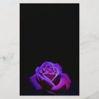 Rosa púrpura com gotas de água em fundo preto