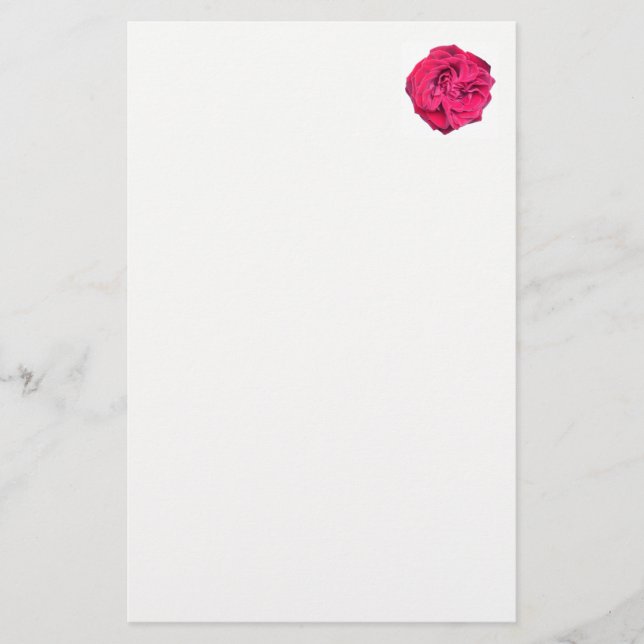 Papelaria Rosa vermelha (Frente)
