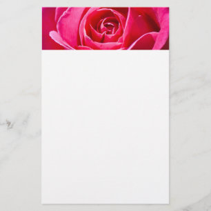 Papelaria Rosa vermelha crescendo em um jardim