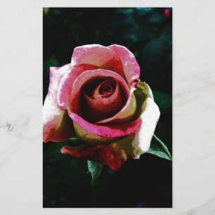 Papelaria Rosa vermelha pintada a óleo