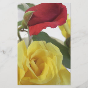 Papelaria Rosas amarelas vermelhas