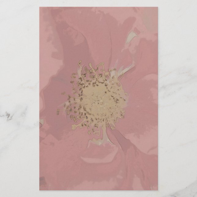 Papelaria Rosas Arbustivas PastelDesbotado (Frente)