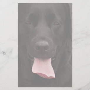 Papelaria Rosto de cachorro preto