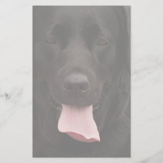 Papelaria Rosto de cachorro preto