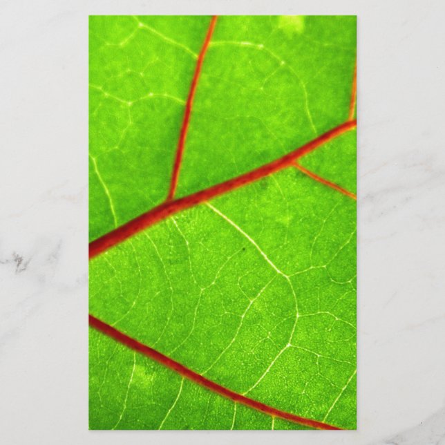 Papelaria Rua. Thomas 1 (Frente)