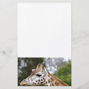Papelaria Safari Africa Mod Chic Classy Destiny Giraffe