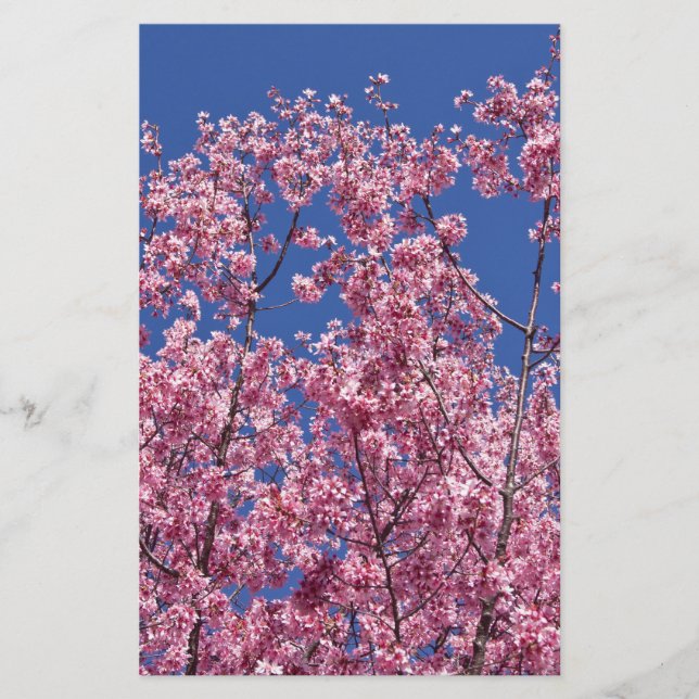 Papelaria Sakura Flores de Cerejeira no Azul (Frente)