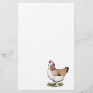 Papelaria Salmão Faverolle Hen