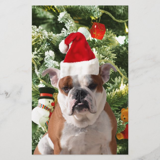 Papelaria Santa Hat Bulldog Árvore de Natal Snowman Caixa de (Frente)