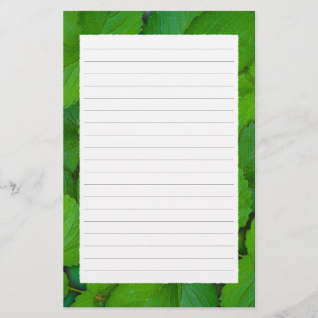 Papelaria Santo Basil Tulsi Green Mint Folhas (Frente)