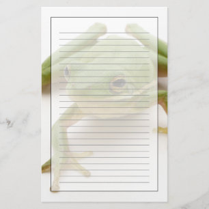 Papelaria Sapo de árvore verde