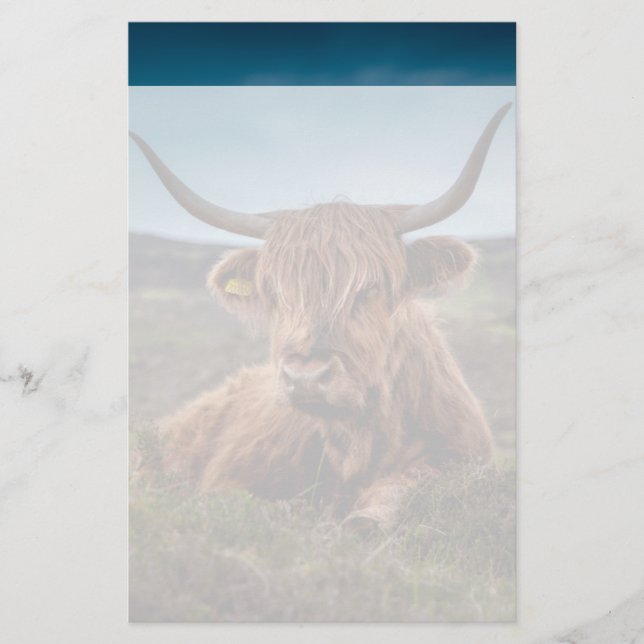Papelaria Scottish Highland Cow Longhorn Bull Rancher (Frente)