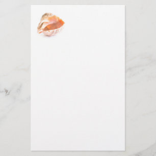 Papelaria Seashell