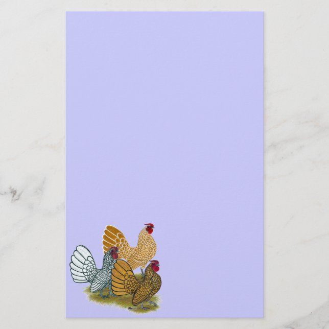 Papelaria Sebright Rooster Assorment (Frente)