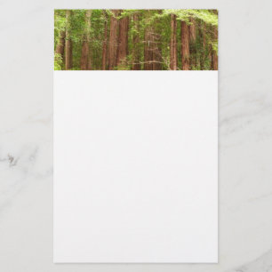 Papelaria Sequoias Vermelhas no Monumento Nacional de Muir W