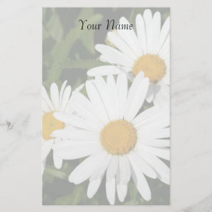 Papelaria Shasta Daisies Papel de carta