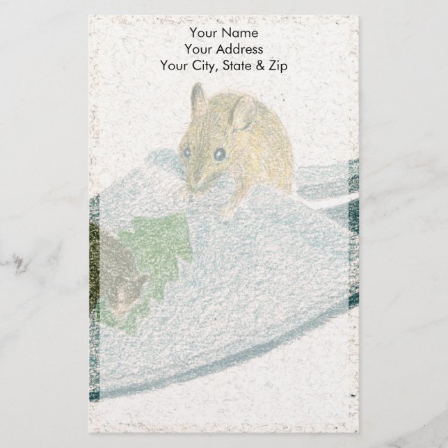 Papelaria Slipper do mouse (Frente)