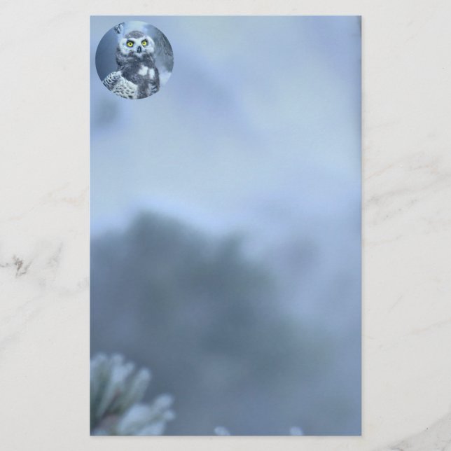 Papelaria Snowy Owl no inverno (Frente)