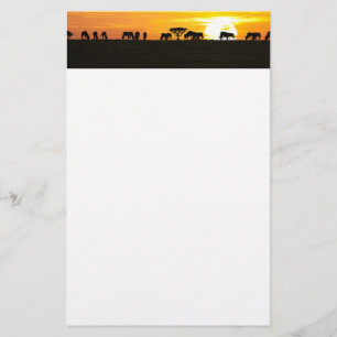 Papelaria Sol em Serengeti
