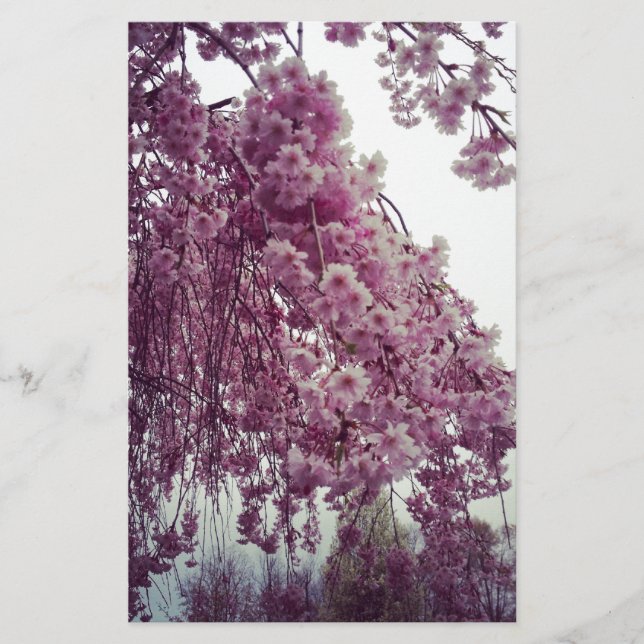 Papelaria Springtime (Frente)