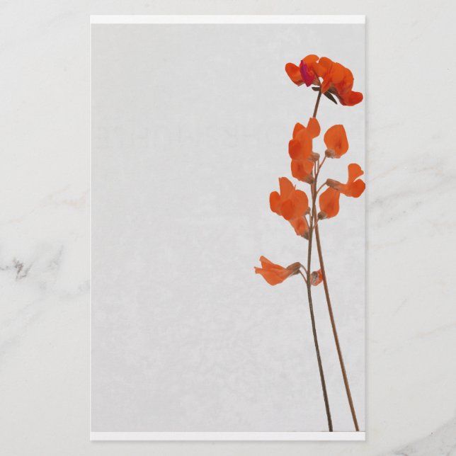 Papelaria Stationery conversas flowers (Frente)