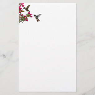 Papelaria Stationery hummingbirds