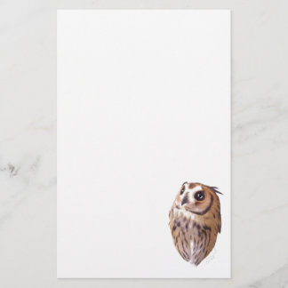 Papelaria Striped owl