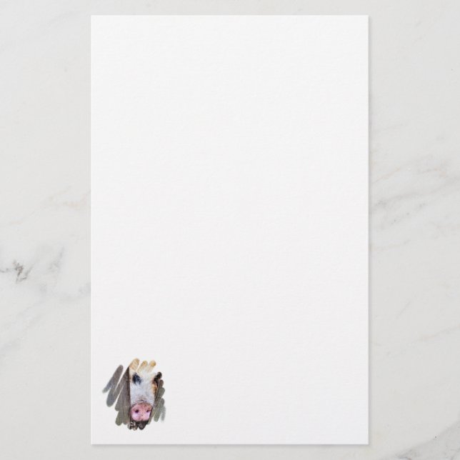 PAPELARIA SUÍNOS (Frente)