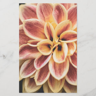 Papelaria Summer Dahlia Flower (Arte Floral)