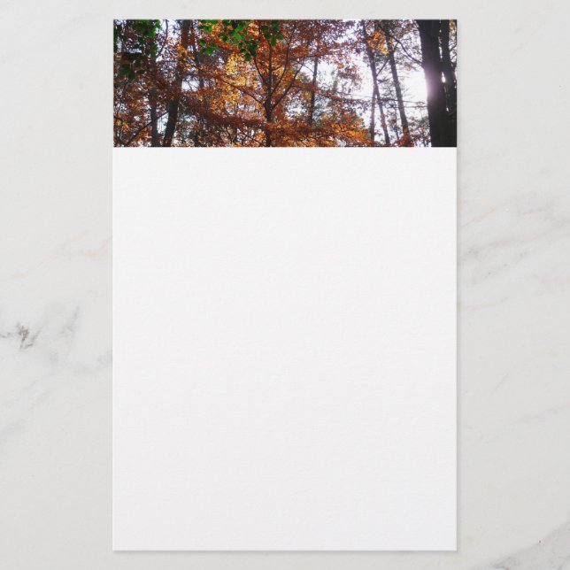 Papelaria Sunlight Through Fall Tree (Ponta de Sol por Queda (Frente)