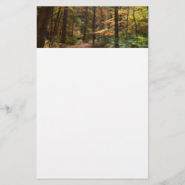 Papelaria Sunlit Fall Trail no Parque Estadual de Laurel Hil