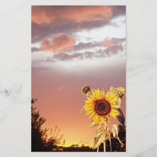PAPELARIA SUNSET DE VERÃO DE PINCO E FLORES
