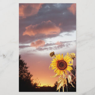 PAPELARIA SUNSET DE VERÃO DE PINCO E FLORES