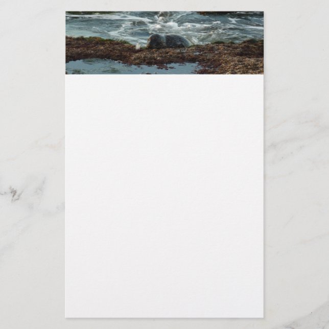 Papelaria Sunset Lit Harbor Seal I em San Diego (Frente)