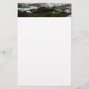 Papelaria Sunset Lit Harbor Seal II em San Diego