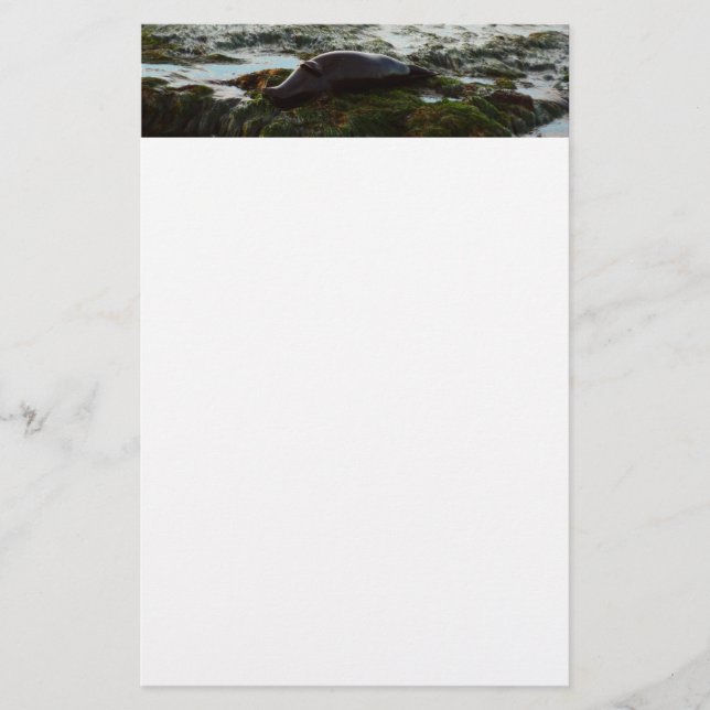 Papelaria Sunset Lit Harbor Seal II em San Diego (Frente)