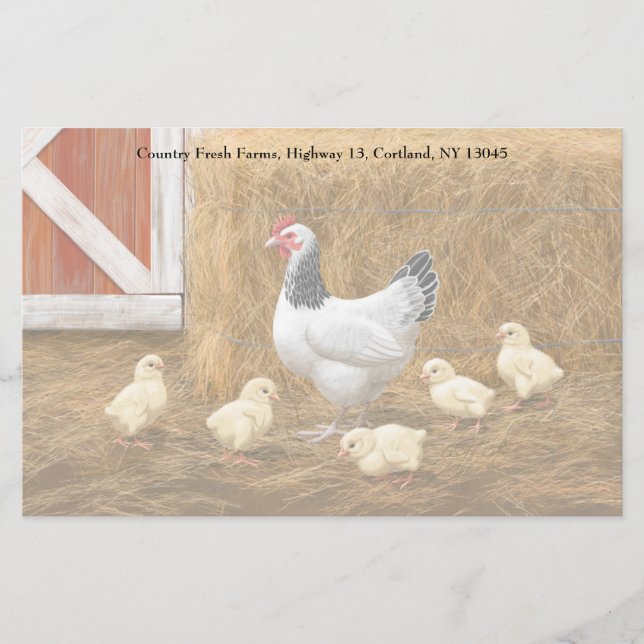 Papelaria Sussex Chicken Mama Hen e Pintinhos (Frente)