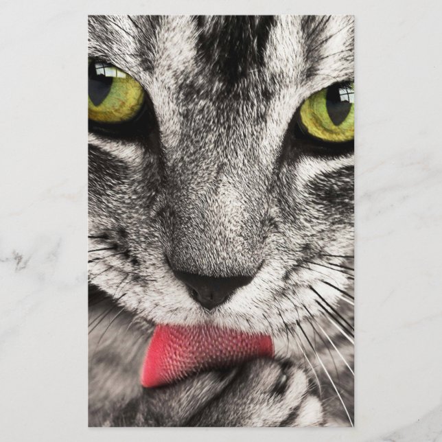 Papelaria Tabby Cat Licing Paw (Frente)