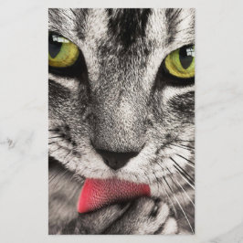 Papelaria Tabby Cat Licing Paw