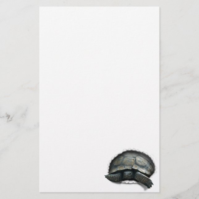 Papelaria Tartaruga do Deserto Saindo (Frente)