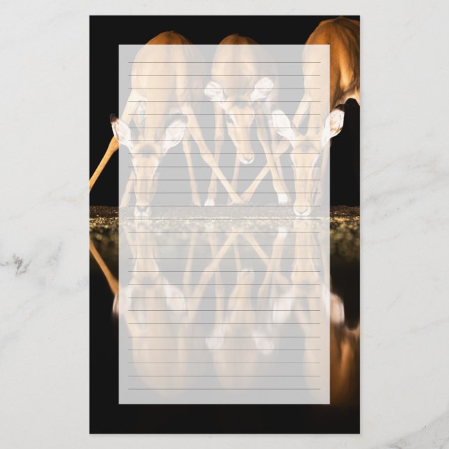 Papelaria Three Impala Drink Together at Night (Frente)