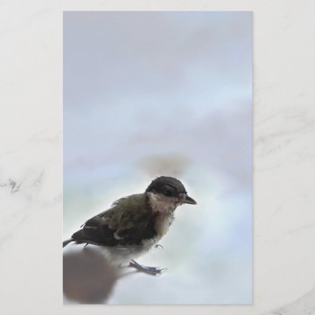 Papelaria Tidi, meu Pássaro, o Parus Major (Frente)