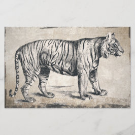 Papelaria Tiger Vintage Wildlife Grunge Decorative