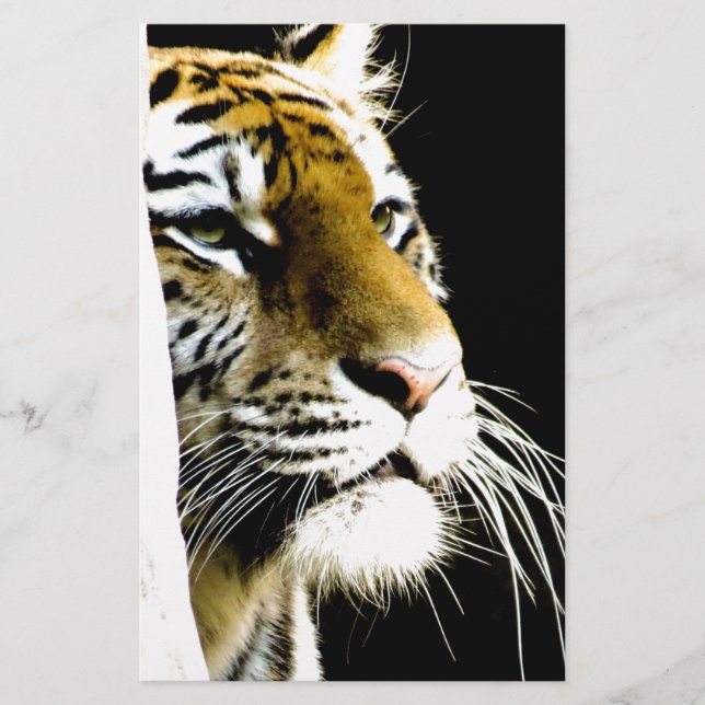 Papelaria Tigre (Frente)