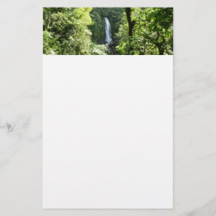 Papelaria Traffic Falls Tropical RainForest Fotografia