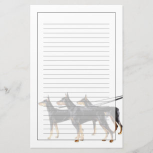 Papelaria Três Dobermans na coleira