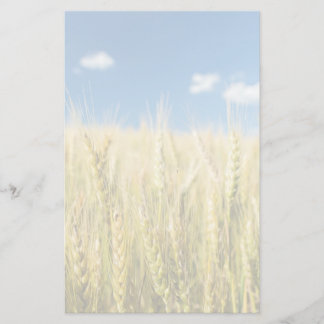 Papelaria Trigo de Kansas