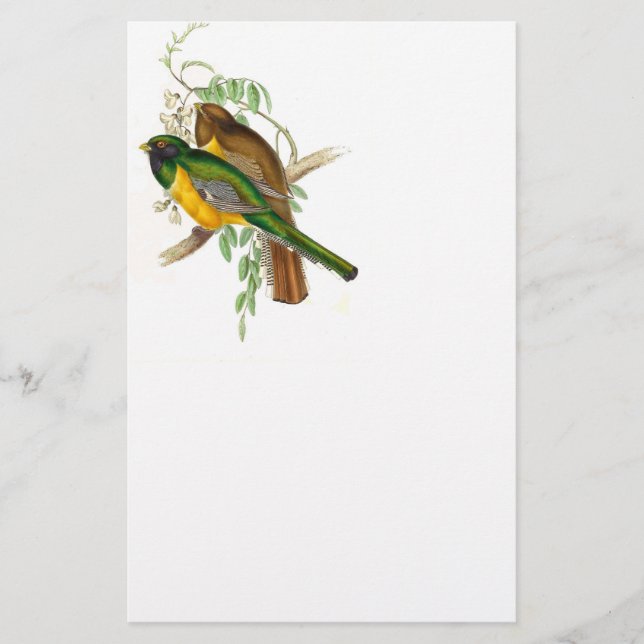Papelaria Trogon Bird BT Stationery (Frente)