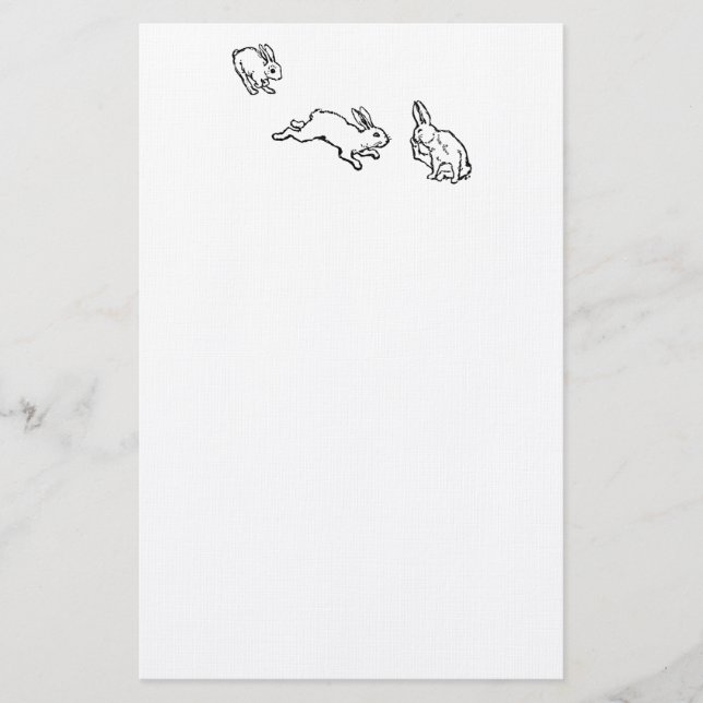 PAPELARIA TROIS LAPINS (Frente)